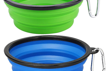 Extra Large Collapsible Dog Bowls 2 Pack, 34Oz Foldable Dog Travel Bowl, Portable Dog Water Food Bowl with Carabiner, Pet Feeding Cup Dish for Traveling, Walking, Parking